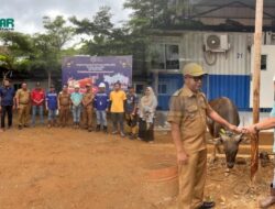 PT Riota Jaya Lestari Salurkan 89 Ekor Sapi Kurban Jelang Idul Adha