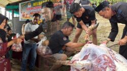 Pertahankan Tradisi Sisihkan Gaji, Batalyon C Pelopor Satbrimob Polda Sultra Sembelih 36 Ekor Sapi Kurban