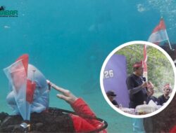 Kibarkan Merah Putih di Kedalaman 8 Meter, 60 Penyelam Upacara Bawah Laut di Kolaka Utara